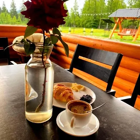 вілія Chalet Vorochta
