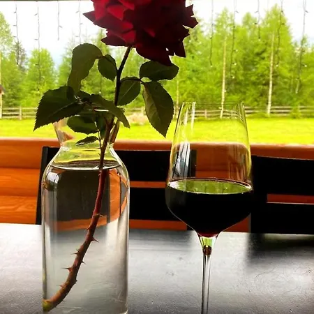 Chalet вілія *