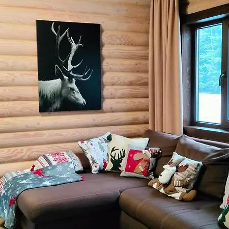 вілія Chalet Vorokhta