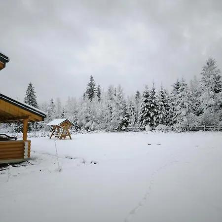 Chalet вілія Vorokhta