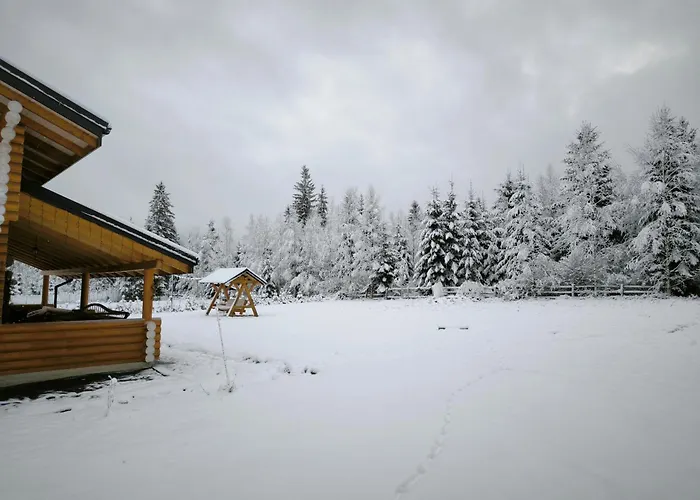 Chalet вілія Vorochta