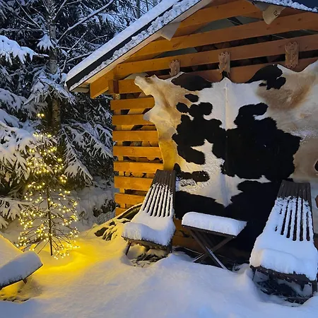 Chalet вілія Vorokhta