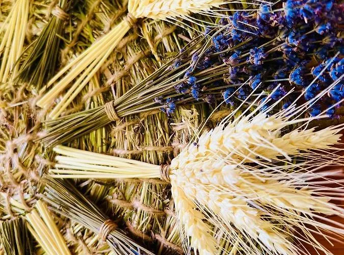 вілія * Vorokhta